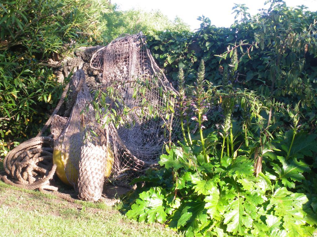 Mira Ceti Yurt Bed & Breakfast Sète Exterior foto