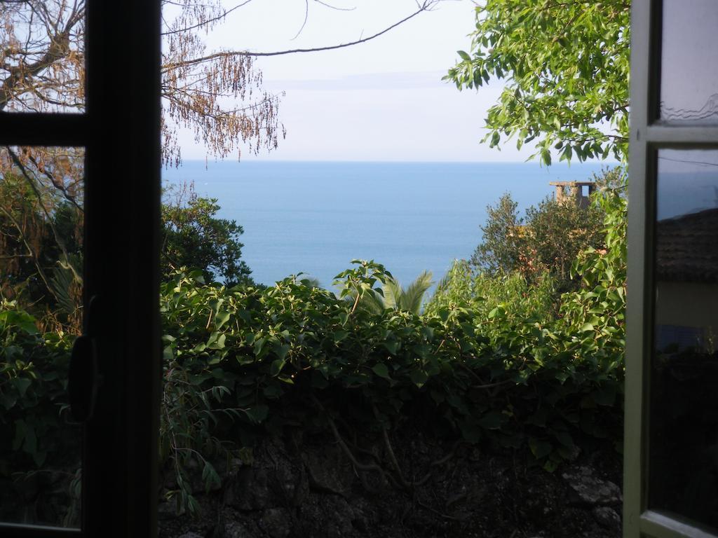 Mira Ceti Yurt Bed & Breakfast Sète Exterior foto
